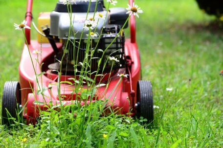 Service d'ouverture de terrain au printemps à Montréal et Laval