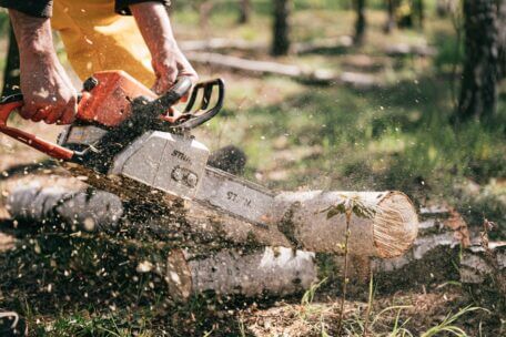 Service de coupe de branches et petits projets à Montréal et Laval